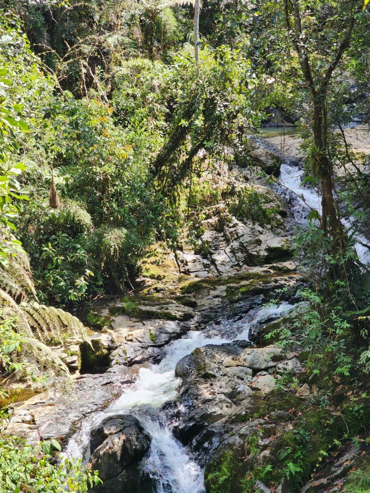 La Serena Reserva Natural Concepcion Exterior photo